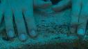1410SM2108 02 51 32 21 CREVETTE