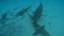 1502SM102 02 02 02 14 REQUIN