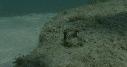 1506SM102 01 33 44 04 HIPPOCAMPE