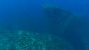 1509SM107 04 37 28 14 POISSON BARRACUDA