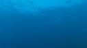 1509SM108 05 16 58 17 POISSON BARRACUDA