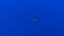 1510SM102 06 24 28 03 REQUIN