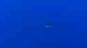 1510SM102 06 24 28 03 REQUIN