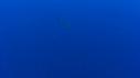 1510SM102 06 28 01 13 REQUIN