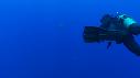 1510SM102 06 38 24 04 REQUIN