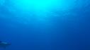 1510SM112 10 28 24 01 REQUIN