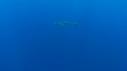 1510SM115 12 28 40 13 REQUIN