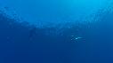 1510SM118 14 58 09 00 REQUIN