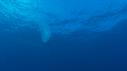 1601SM105 01 46 45 15 MEDUSE