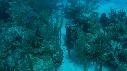 1601SM105 02 01 49 22 REQUIN