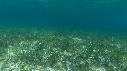 1601SM109 03 38 05 22 REQUIN
