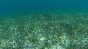1601SM109 03 45 28 13 REQUIN