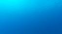 1605SM101 01 14 44 23 CALMAR