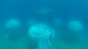 1607SM101 01 32 22 04 PLONGEUR SOUS MARIN