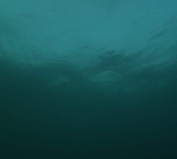 Bateau_navigue_vite_sans_cache_helice