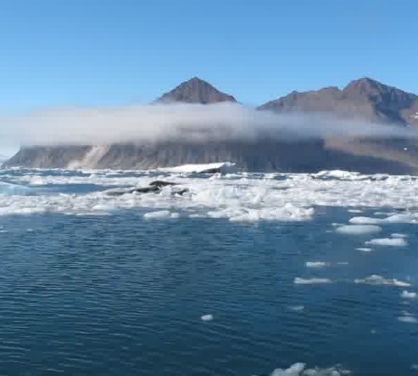 Brasch_avec_montagne_et_brume_qui_la_coiffe.jpg