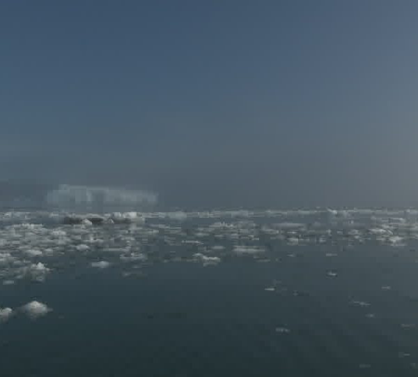 Brasch_devant_iceberg.jpg