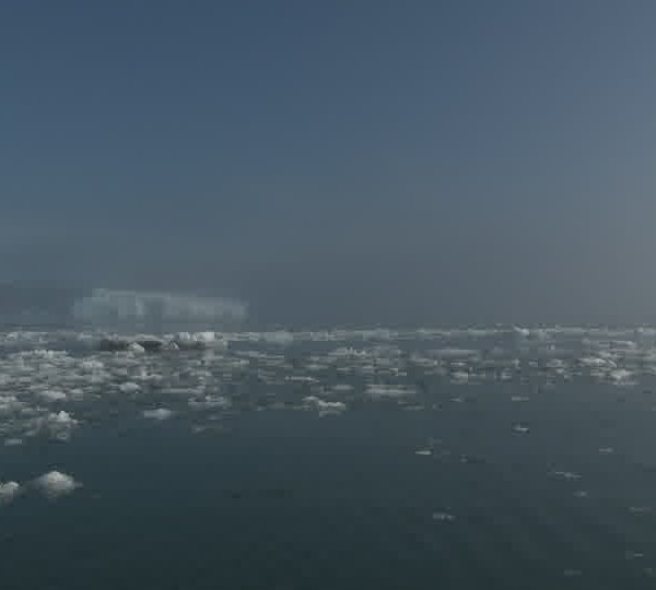 Brasch_devant_iceberg.jpg