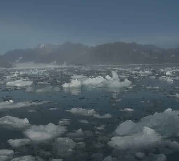 Brasch_plein_de_glace.jpg