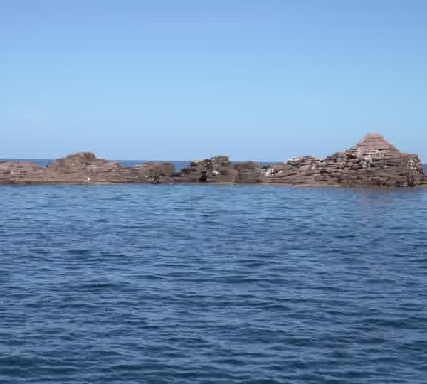 C0089_ile_aux_otaries.jpg