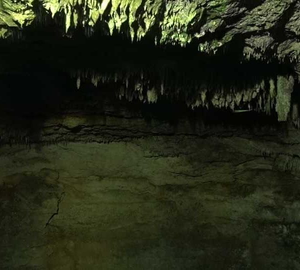 C0317_Oiseau_passe_devant_stalactites