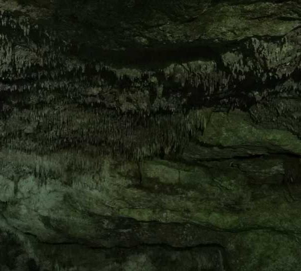 C0326_Petites_stalactites_et_oiseau_passe