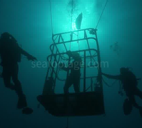 Cage_et_plongeurs_en_contre_jour