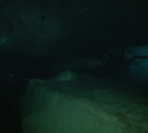 Cenote_Plongeur_montre_fossile.jpg