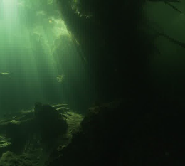 Cenote_abres_sous_l_eau_et_puit_de_lumiere.jpg