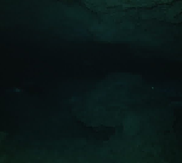 Cenote_ambiance_plongeurs_avec_phare.jpg