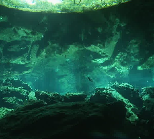 Cenote_carpe_plan_large.jpg