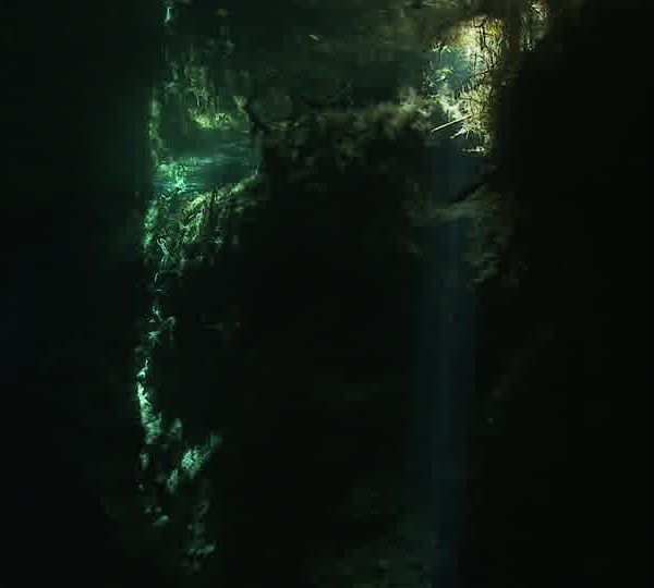 Cenote_debut_puit_de_lumiere.jpg