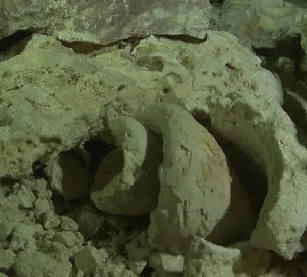 Cenote_fossile.jpg