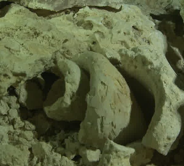 Cenote_fossile_de_cote.jpg