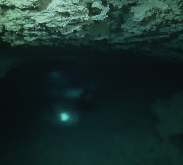 Cenote_plongeur_dans_haloclean.jpg