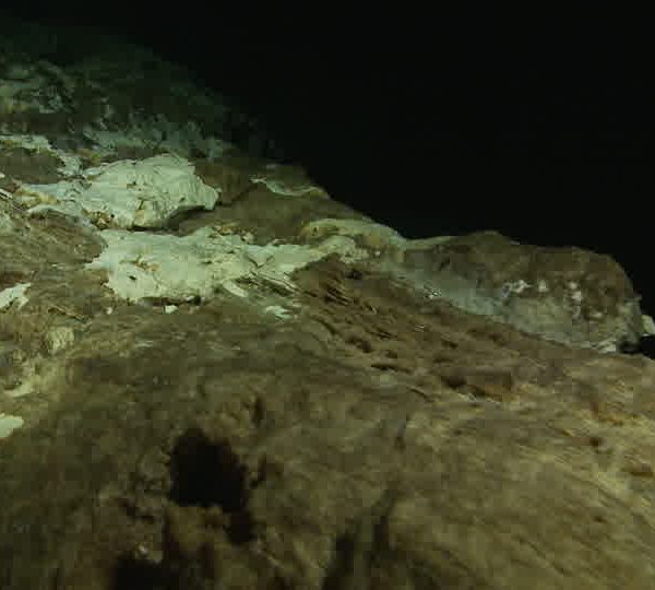 Cenote_rocher_stratifie.jpg