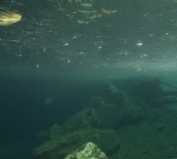 Cenote_sous_la_pluie.jpg