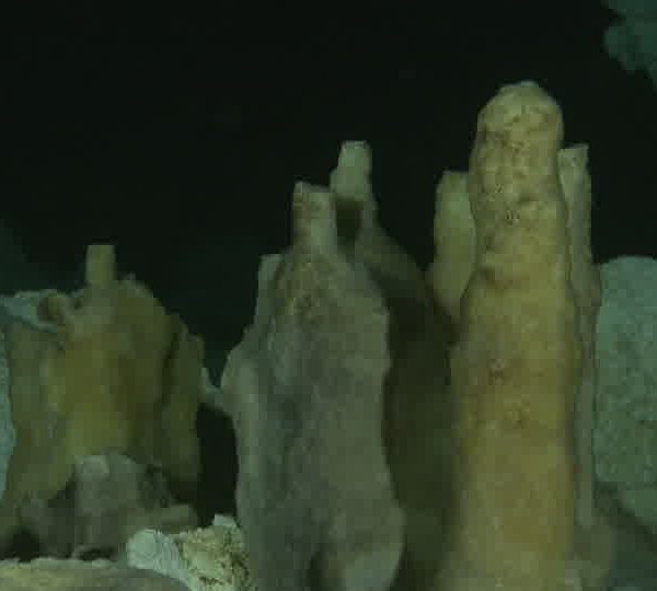 Cenote_stalagmites_gros_plan.jpg