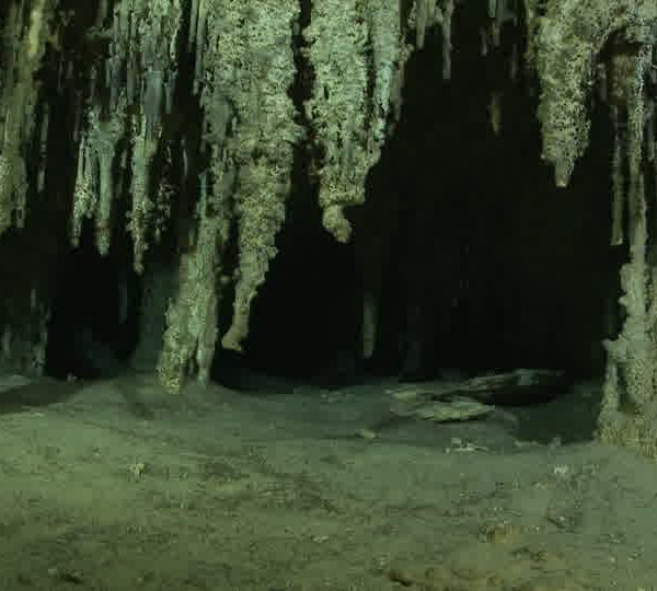 Cenote_stalagtites_a_raz_du_sol.jpg