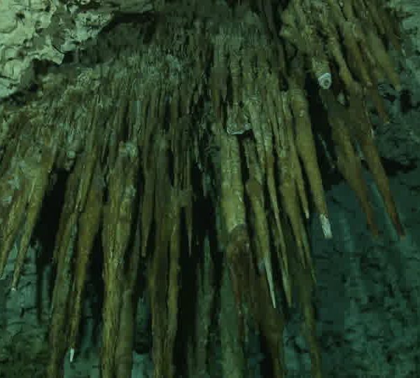 Cenote_stalagtites_fin_plan_fixes.jpg