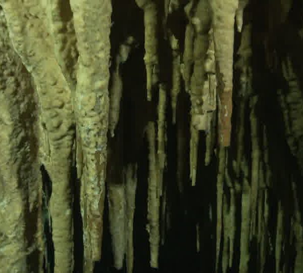 Cenote_stalagtites_gros_plan.jpg