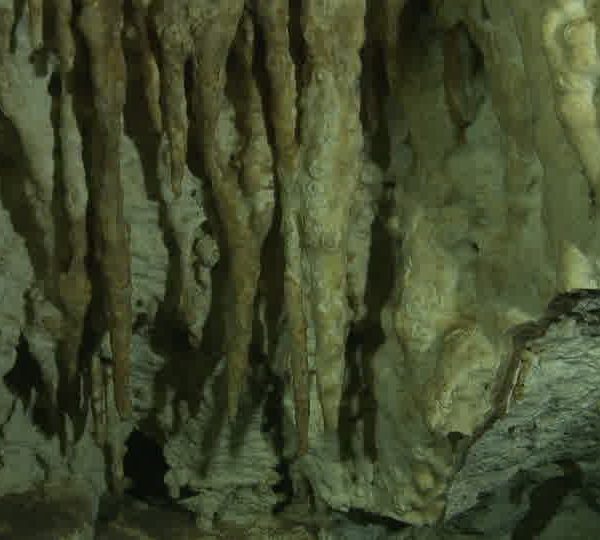 Cenote_stalagtites_plan_fixe.jpg