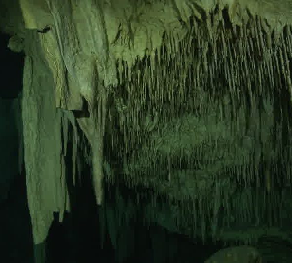 Cenote_stalagtites_plan_moyen.jpg