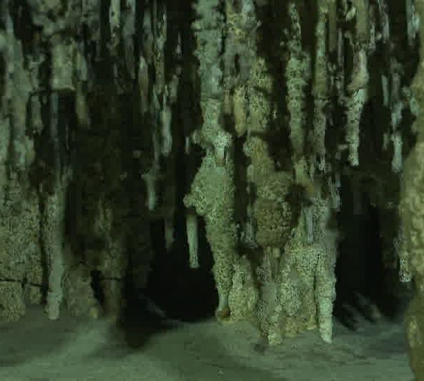 Cenote_stalagtites_prs_du_sol_plan_moyen.jpg