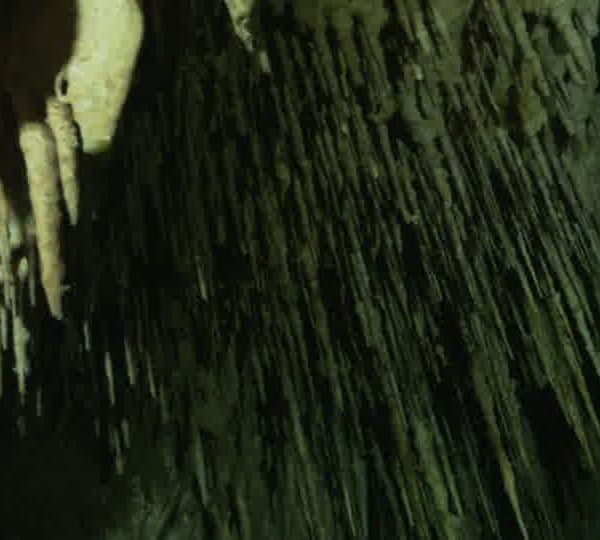 Cenote_stalagtites_tres_fin.jpg