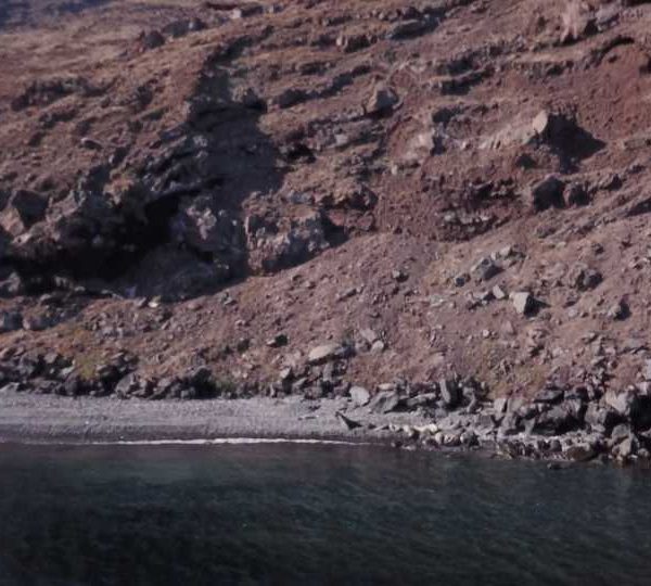 Arrivée drone sur plage Otaries