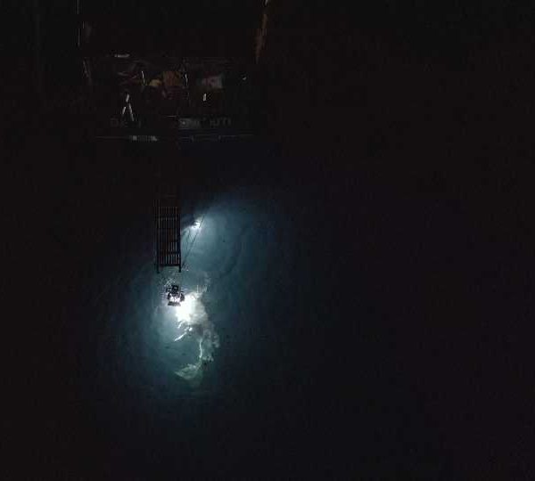 DJI_0046_Requin_baleine_nuit_sous_eclairage_arriere_bateau