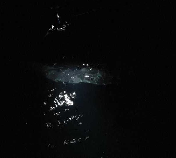 DJI_0062_Requin_baleine_nuit_passe_sous_eclairage