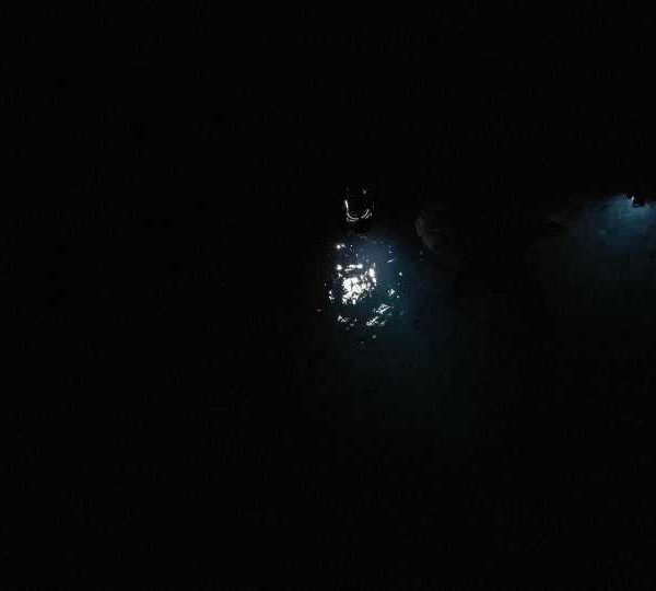 DJI_0066_Requin_baleine_nuit_sous_eclairage