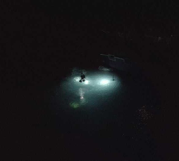 DJI_0077_Requin_baleine_nuit_avec_beaucoup_d’eclairage